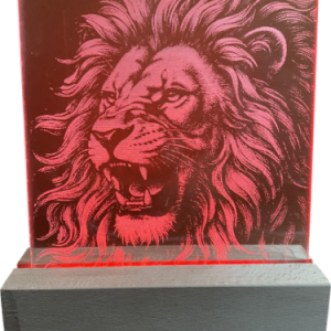 Led_Licht_Lion