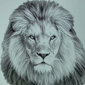 Fotogravur auf Acryl